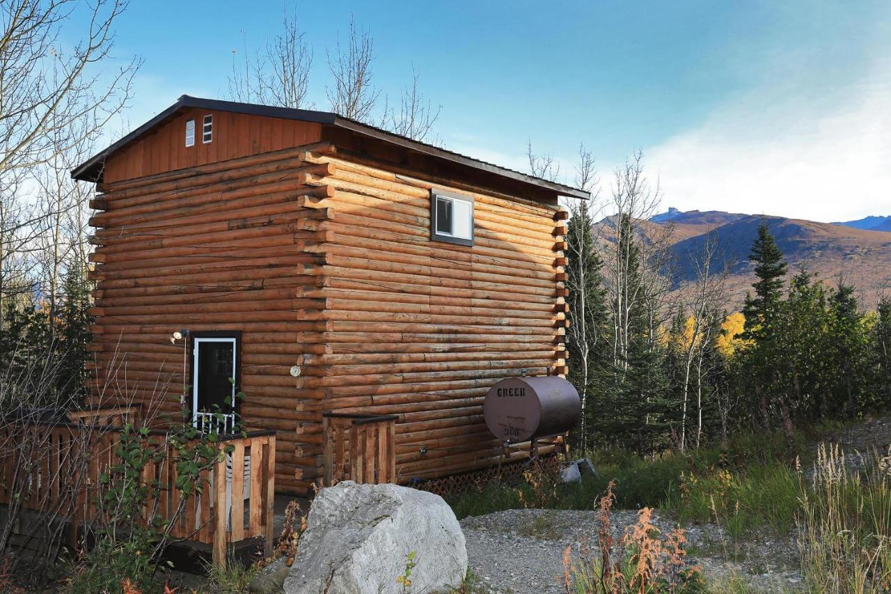 Denali Park View Family Log Cabin Экстерьер фото